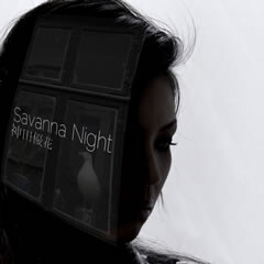 Savanna Night