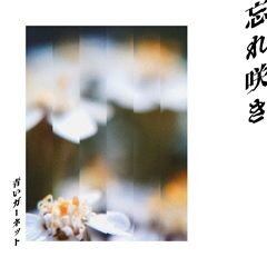 忘れ咲き