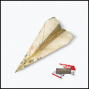 THE GOLDEN PROTOTYPE.