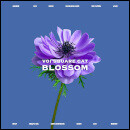BLOSSOM