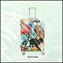Carry Case