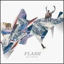 FLASH