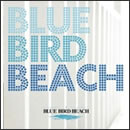 BLUE BIRD BEACH