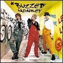 BUZZED MONKEY