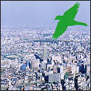 鳩