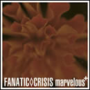 marvelous+