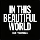 IN THIS BEAUTIFUL WORLD