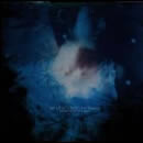 The Waters