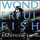 WONDERFUL FISH