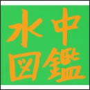 ふれるところ、ささるとげ