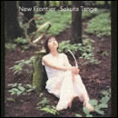 New Frontier