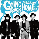 GOING BACK HOME