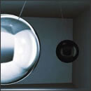 THE PENDULUM