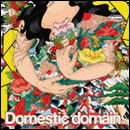 Domestic domain