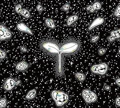 voyage