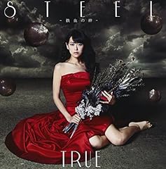 STEEL-鉄血の絆-