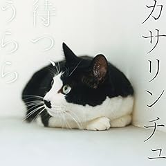 犬を飼う理由