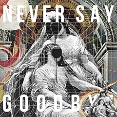 NEVER SAY GOODBYE feat. Mummy D