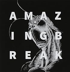 AMAZING BREAK