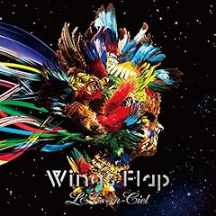 Wings Flap