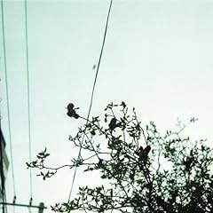 バブル、弾ける