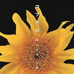 太陽