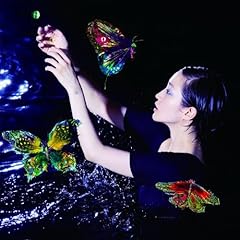 アフリカの夜