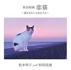 夢猫