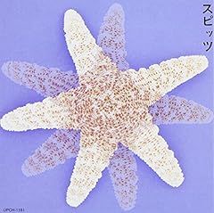 夏の魔物