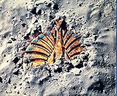 海底に巣くう男