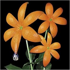 花想