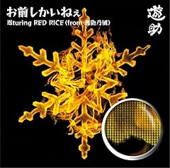 お前しかいねえ 遊turing RED RICE(from 湘南乃風)