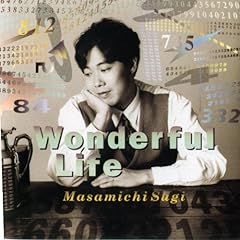 Wonderful Life ～君がいたから～