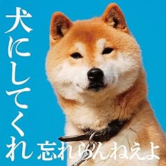 寝てらんねえよ