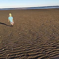 流動体について