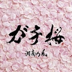 ガチ桜