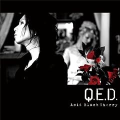 Jigsaw ～ジグソー Q.E.D. version～