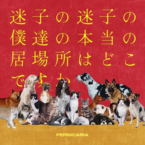4th EP『迷子の迷子の僕達の本当の居場所はどこですか』詳細発表！